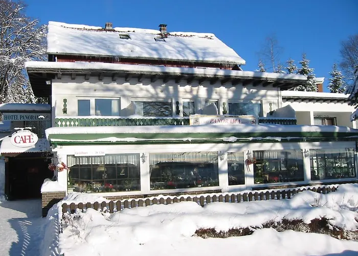 Hotel Und Cafe Panorama 3*
